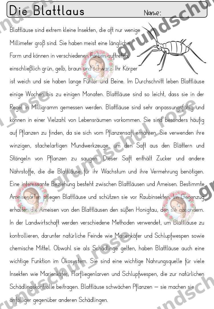 Materialvorschau, Seite 13