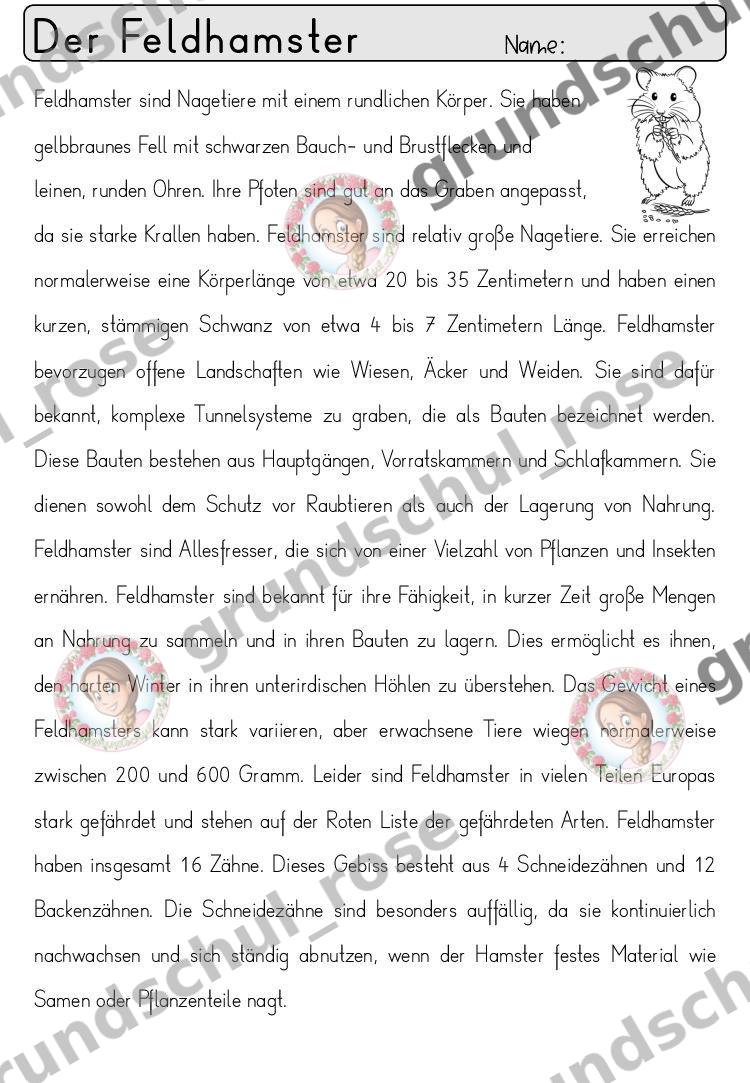 Materialvorschau, Seite 17
