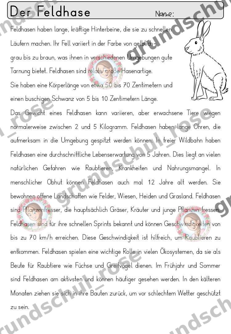 Materialvorschau, Seite 19