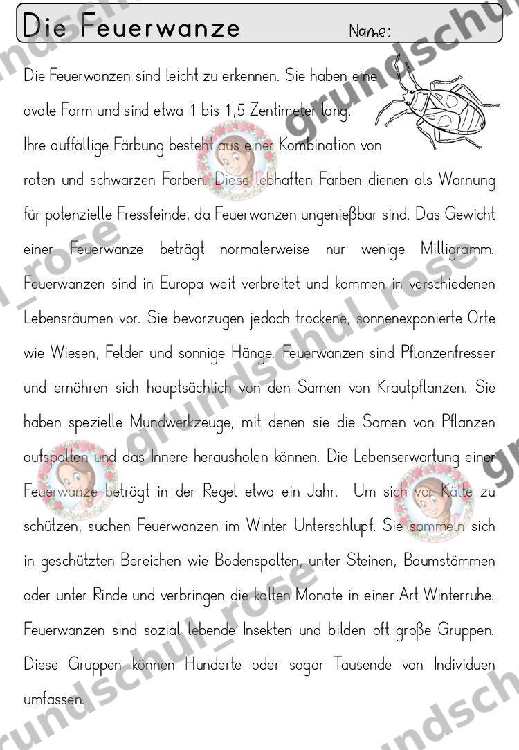 Materialvorschau, Seite 21