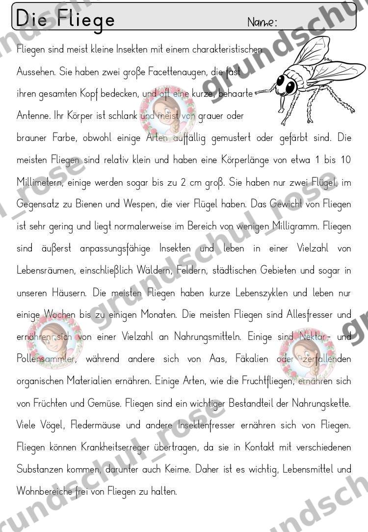 Materialvorschau, Seite 23