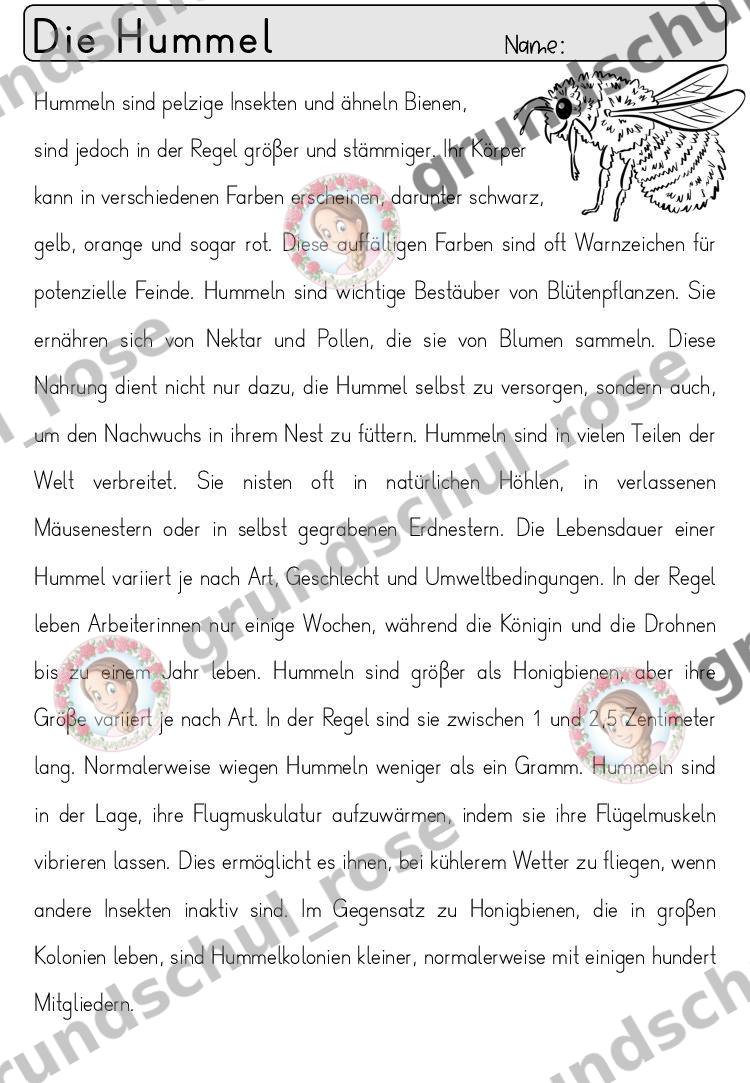 Materialvorschau, Seite 31