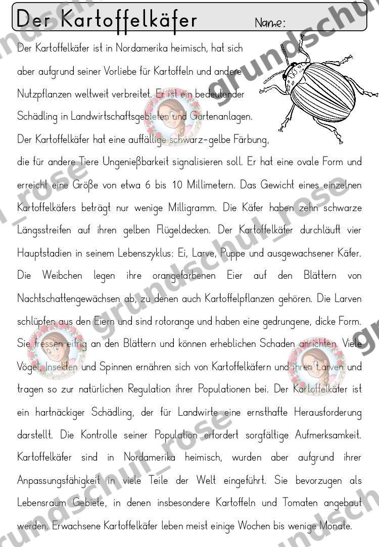 Materialvorschau, Seite 35