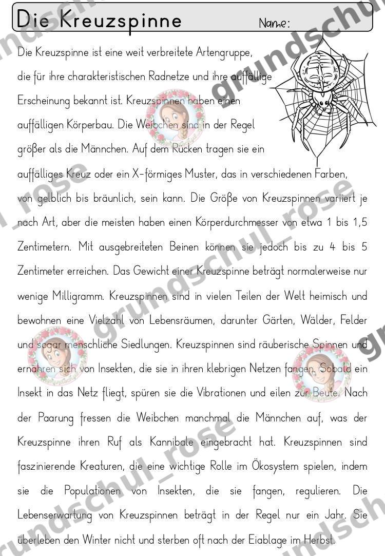 Materialvorschau, Seite 37