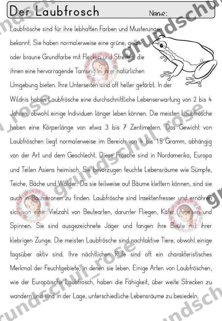 Materialvorschau, Seite 41