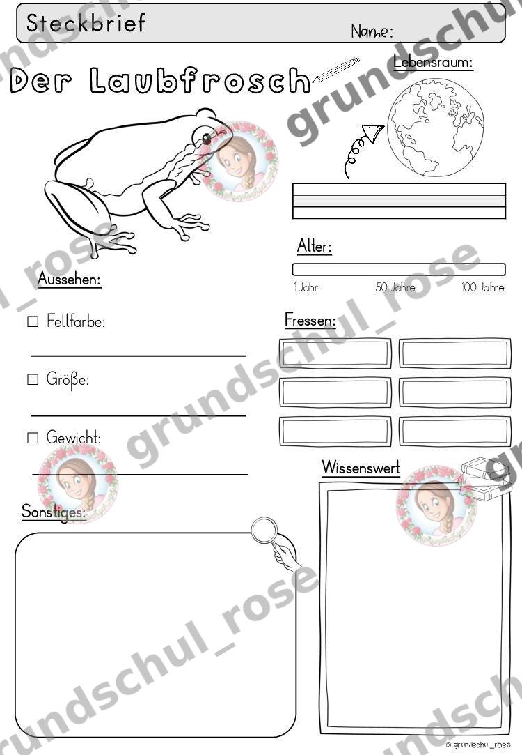 Materialvorschau, Seite 42