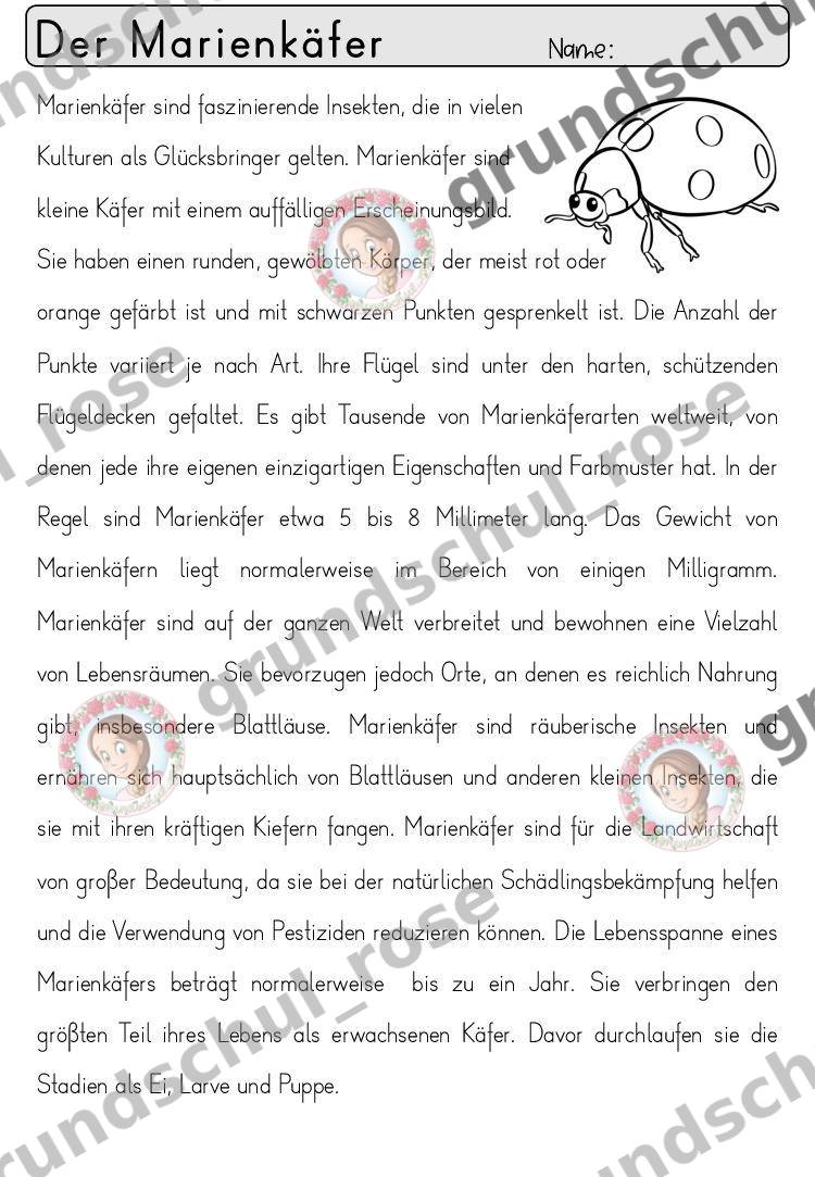 Materialvorschau, Seite 47