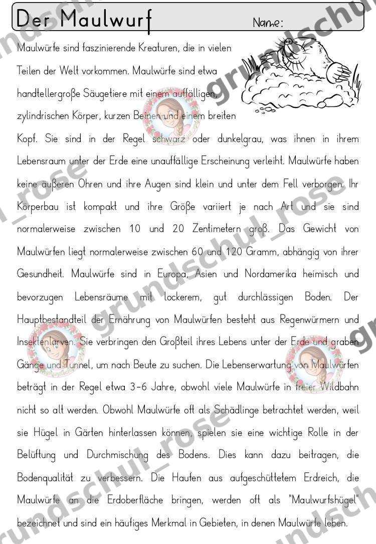 Materialvorschau, Seite 49