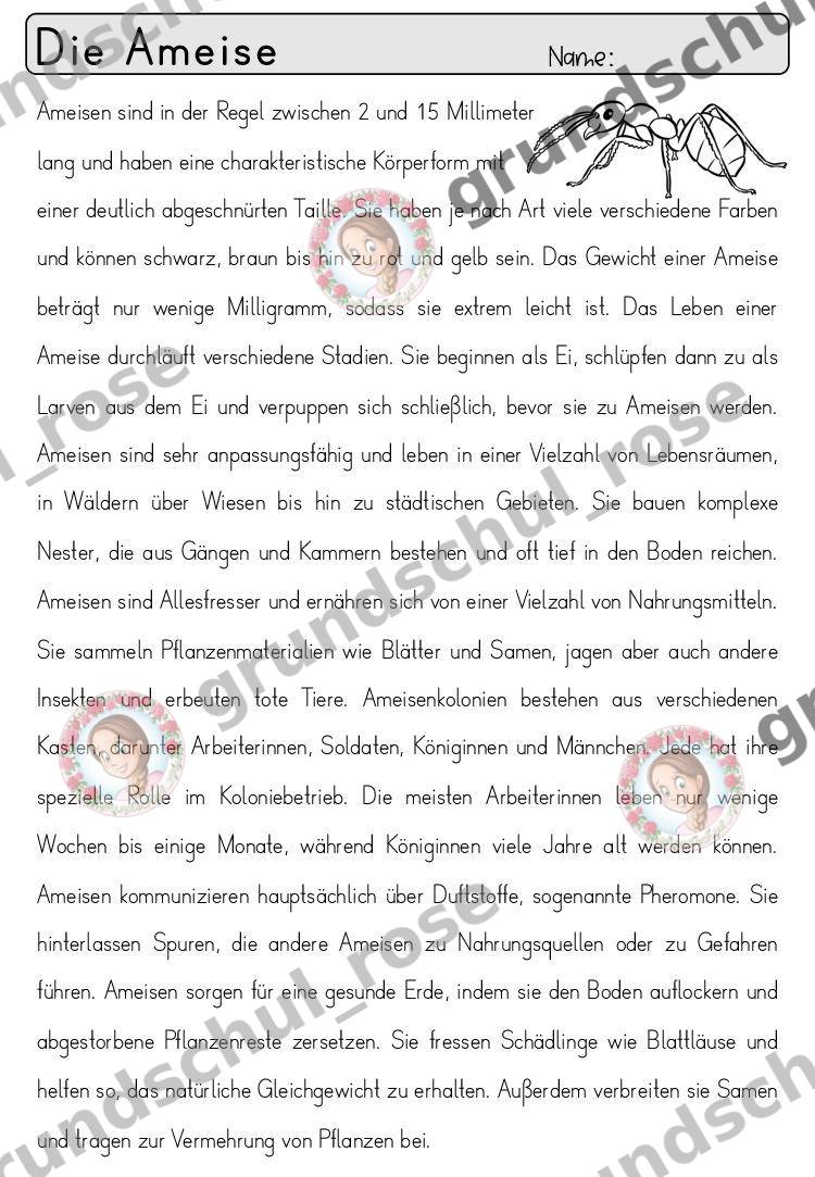 Materialvorschau, Seite 5