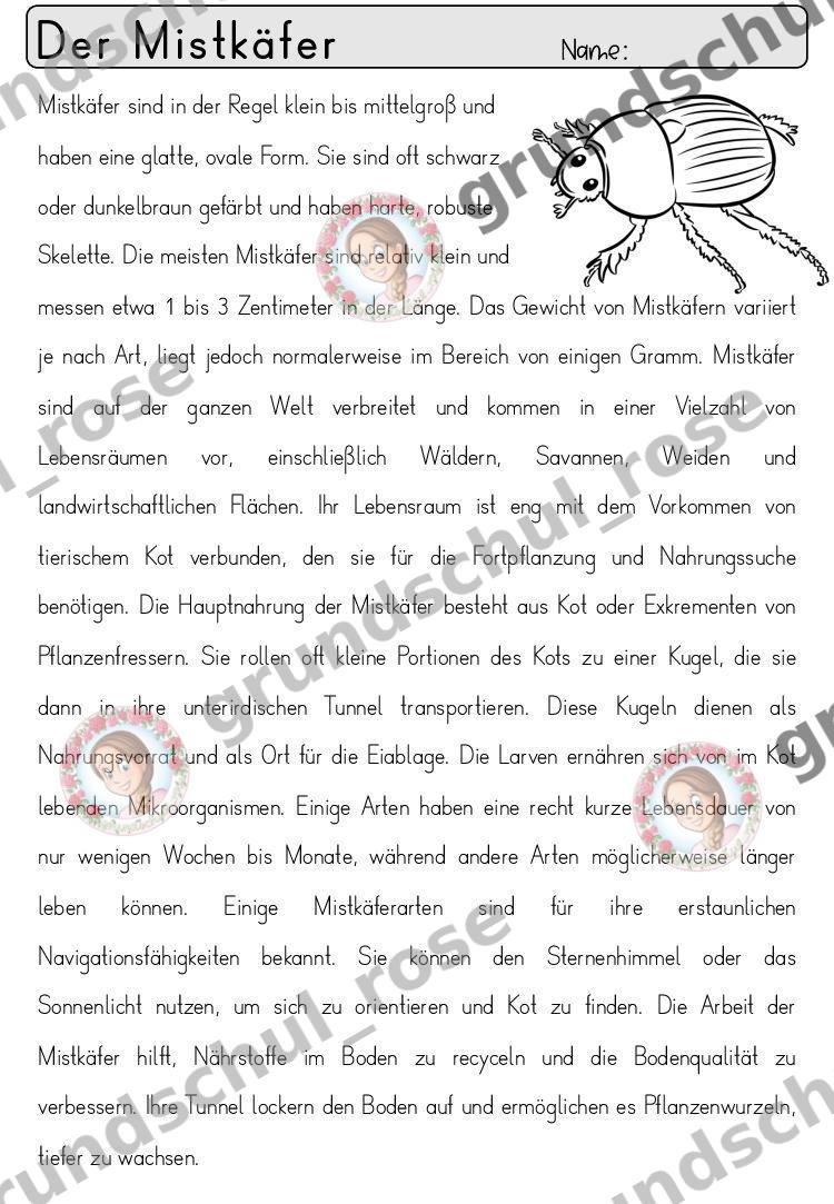 Materialvorschau, Seite 51