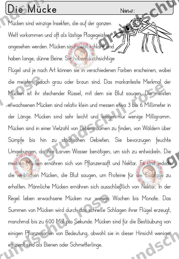 Materialvorschau, Seite 53