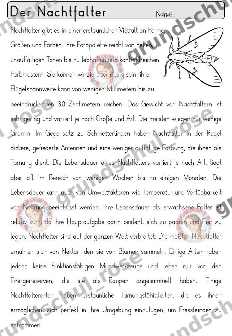 Materialvorschau, Seite 55