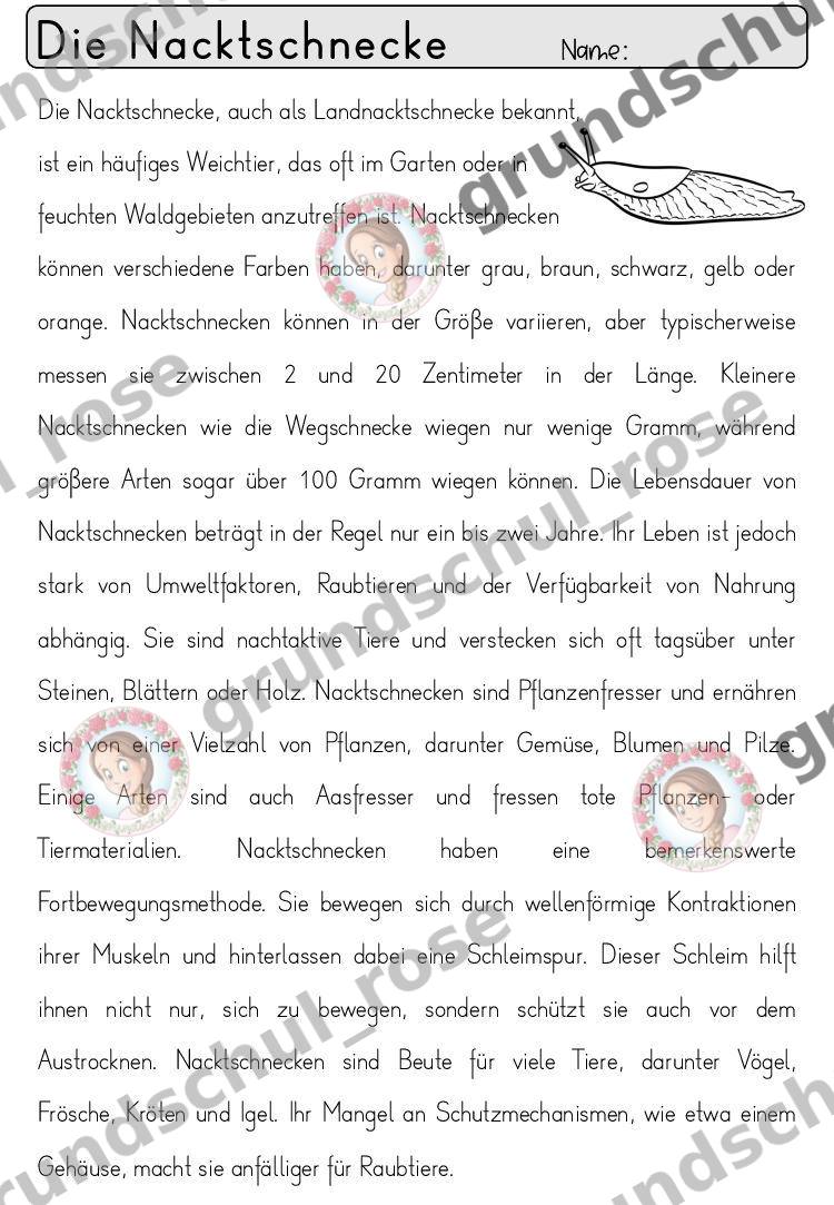 Materialvorschau, Seite 57