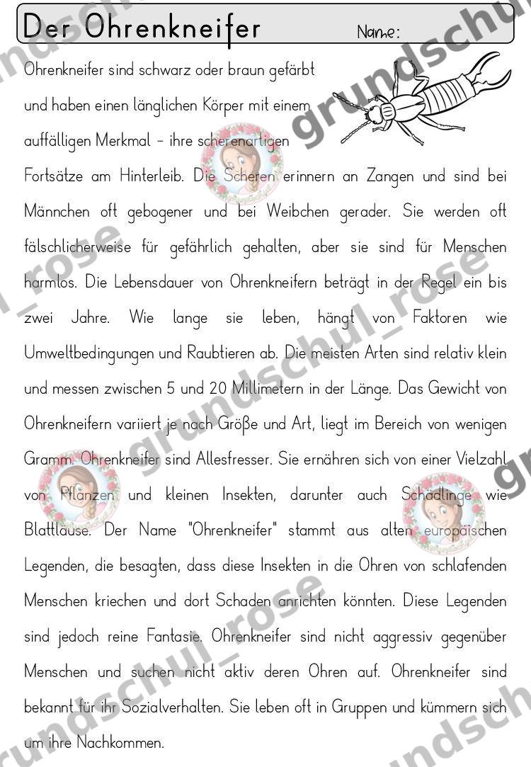 Materialvorschau, Seite 59