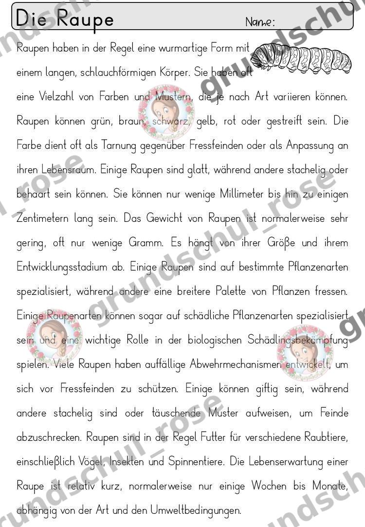 Materialvorschau, Seite 65