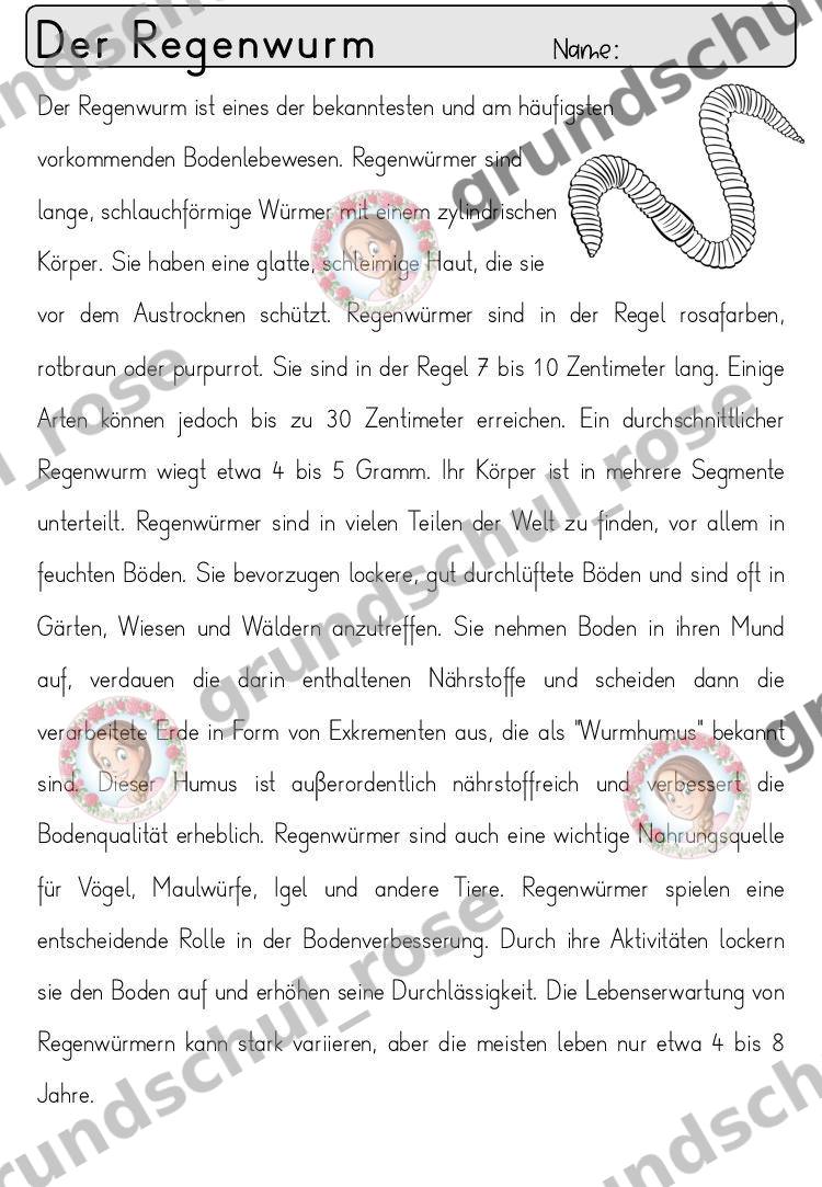 Materialvorschau, Seite 67