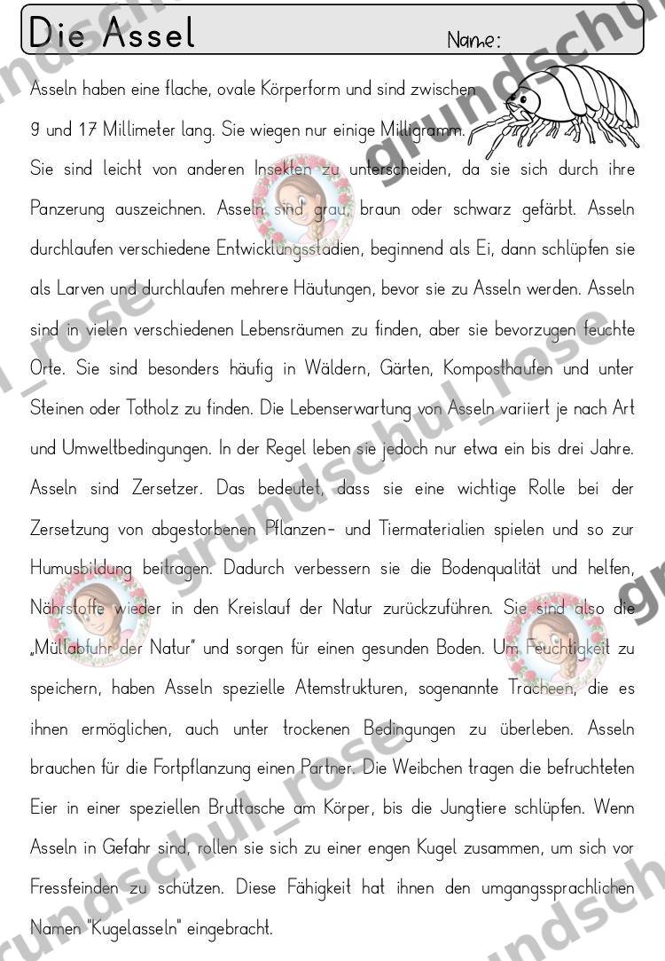 Materialvorschau, Seite 7