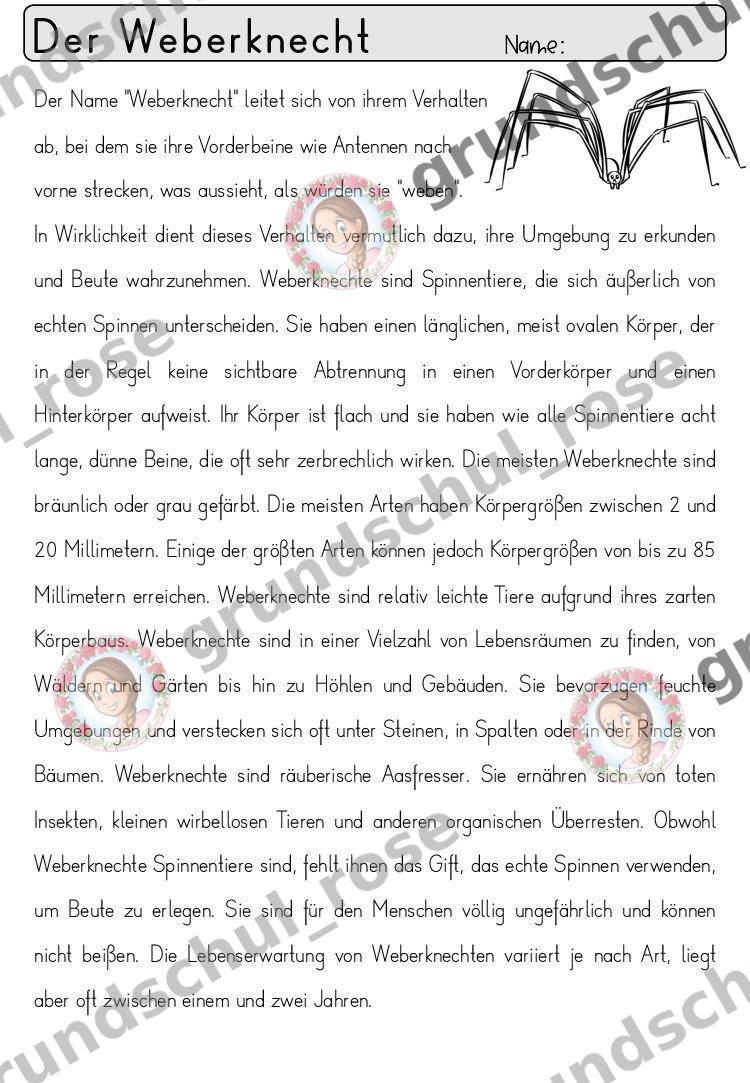 Materialvorschau, Seite 73