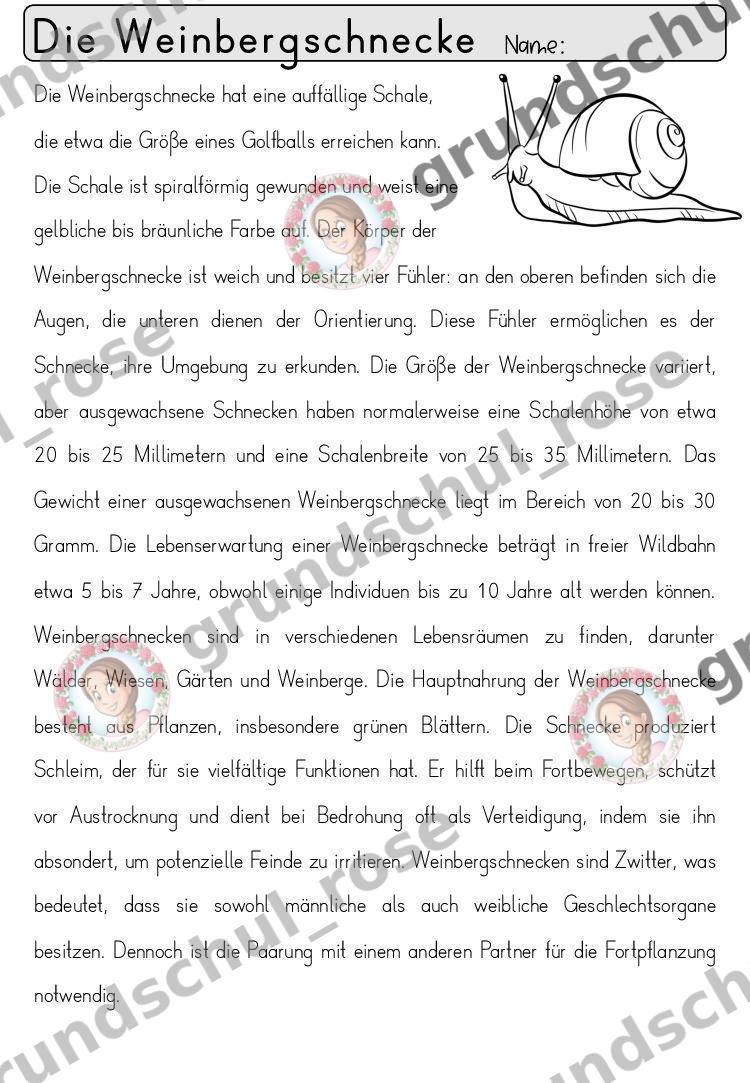 Materialvorschau, Seite 75