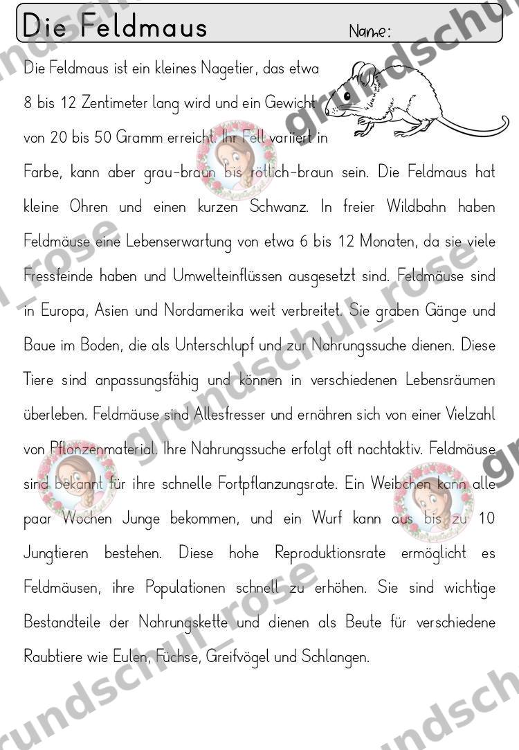 Materialvorschau, Seite 79