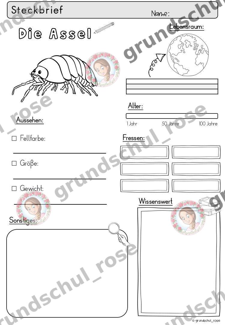 Materialvorschau, Seite 8