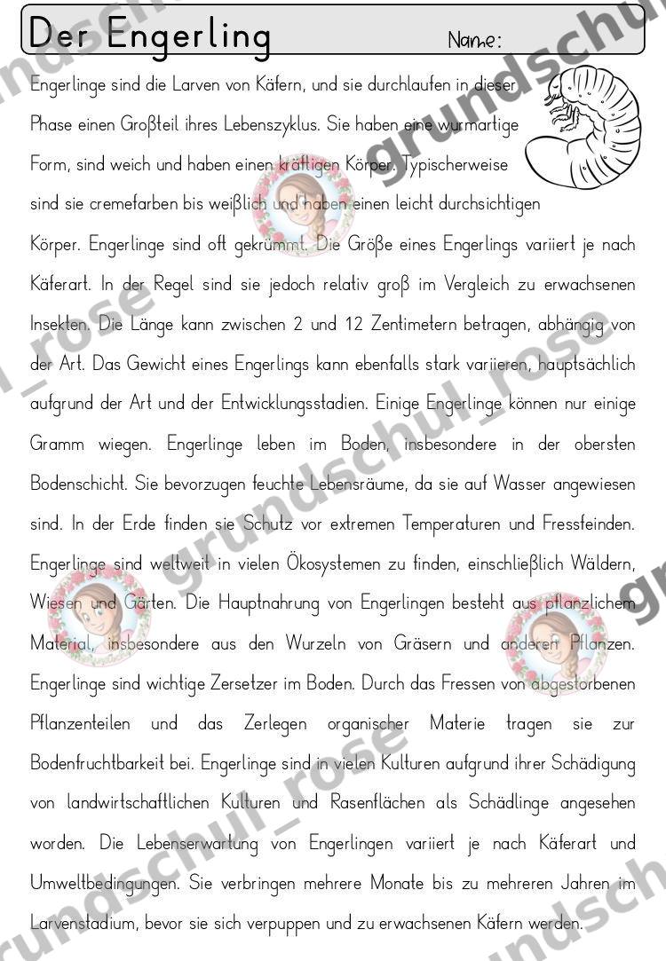 Materialvorschau, Seite 81