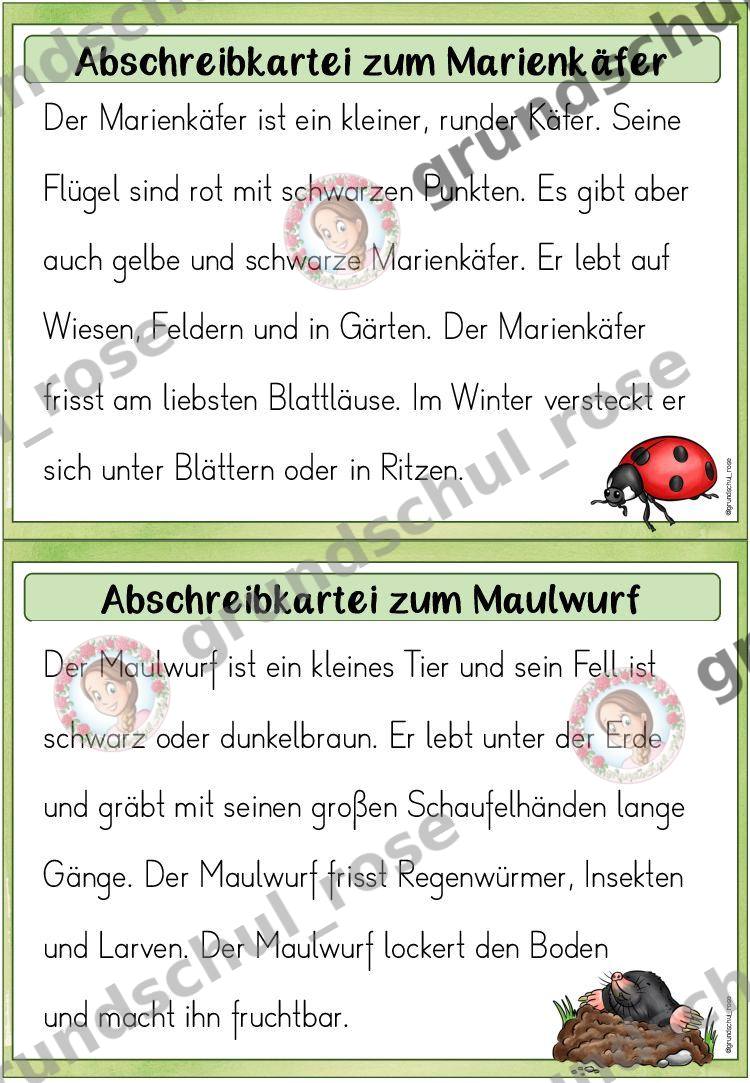 Materialvorschau, Seite 11