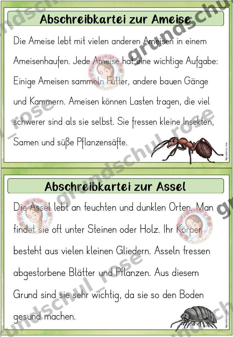 Materialvorschau, Seite 5