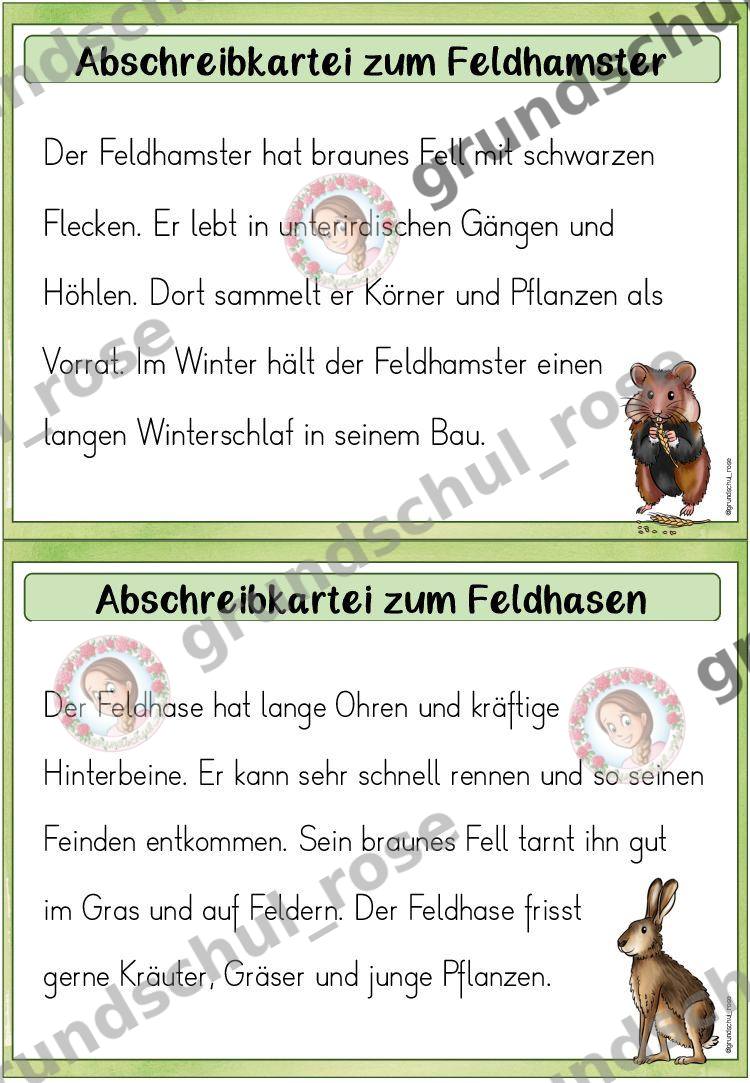 Materialvorschau, Seite 7