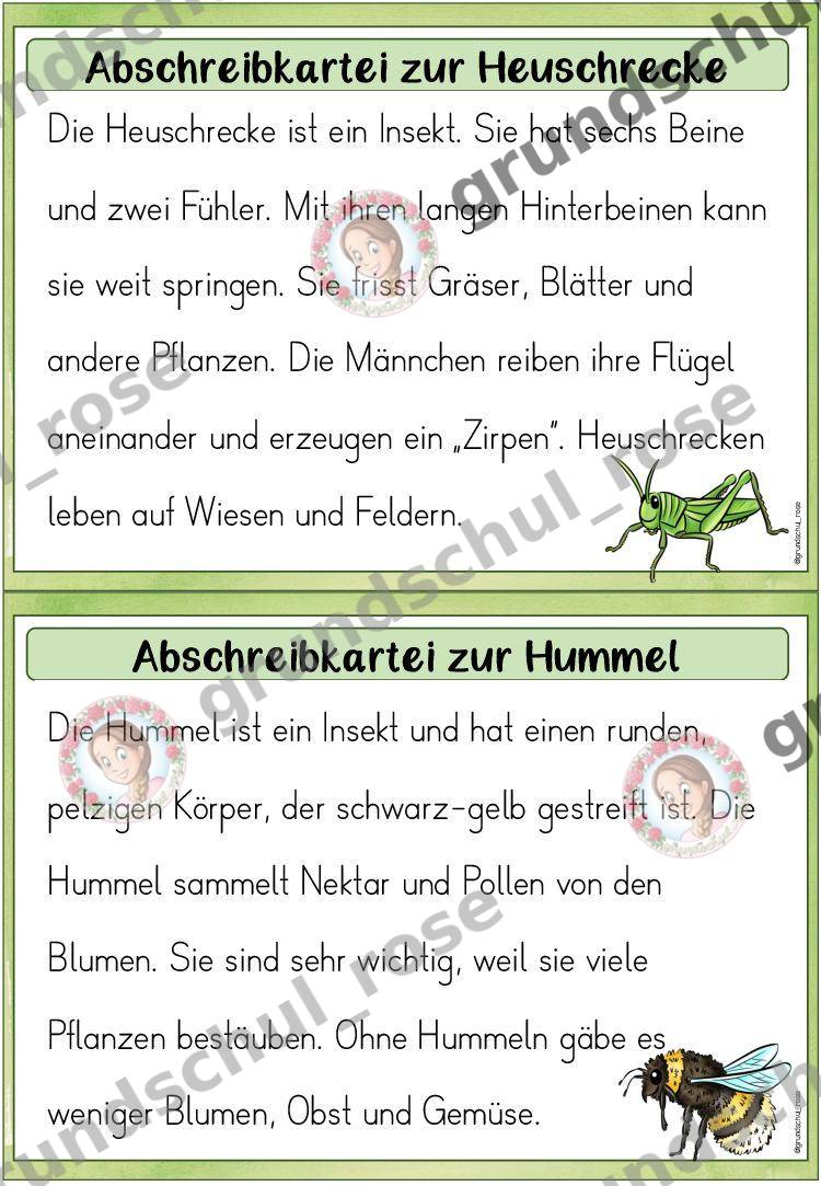 Materialvorschau, Seite 8
