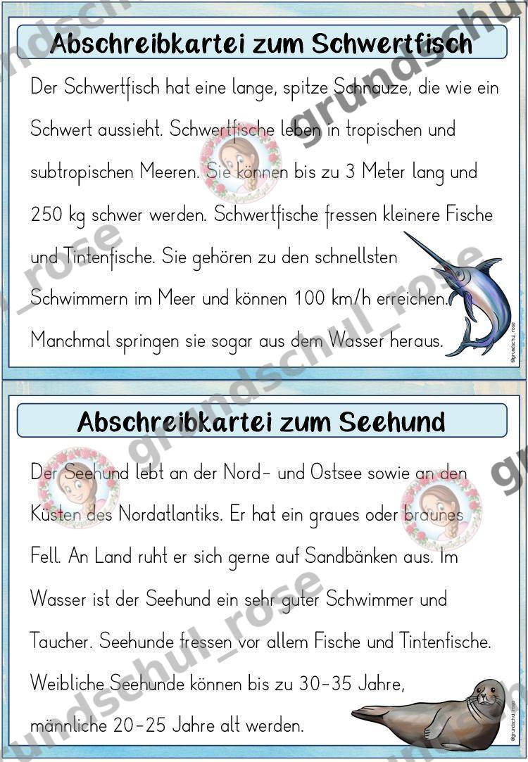 Materialvorschau, Seite 12