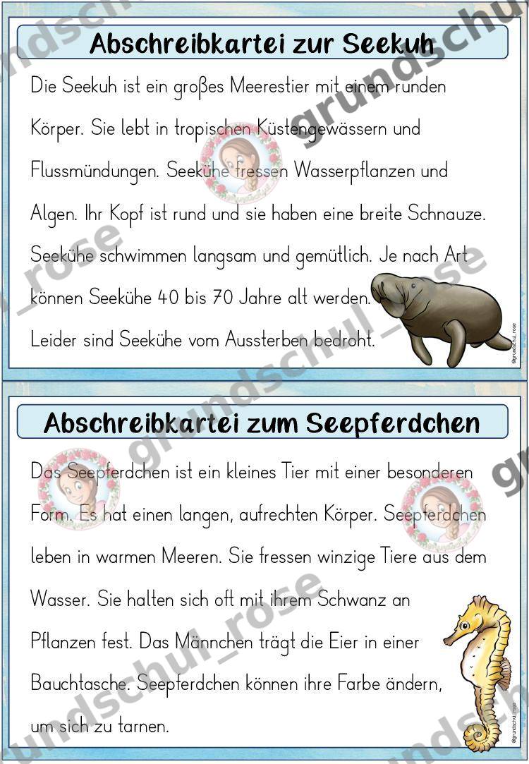 Materialvorschau, Seite 13