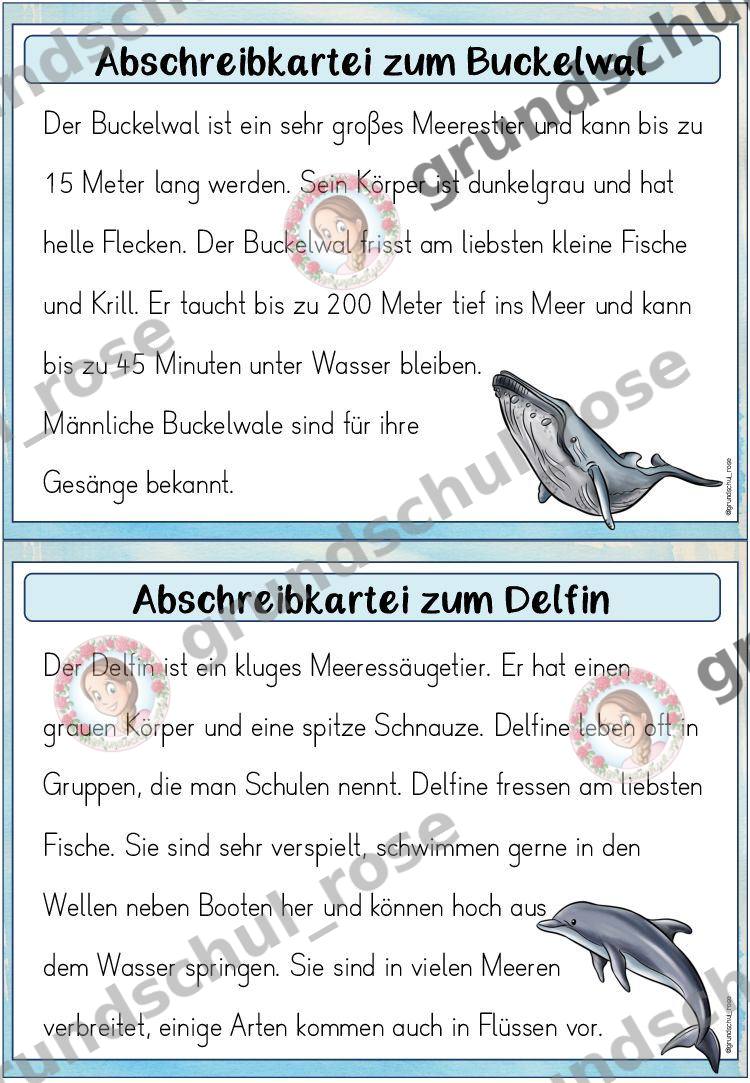 Materialvorschau, Seite 5