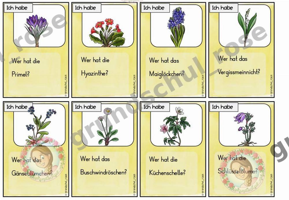 Materialvorschau, Seite 11