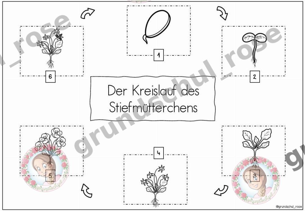 Materialvorschau, Seite 10