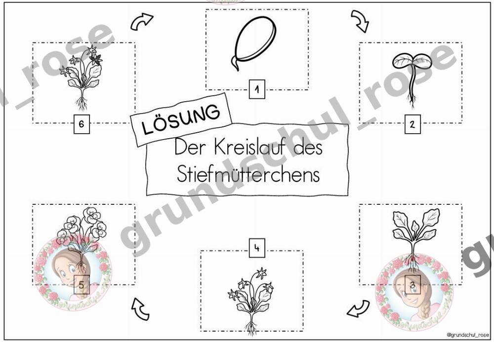 Materialvorschau, Seite 11