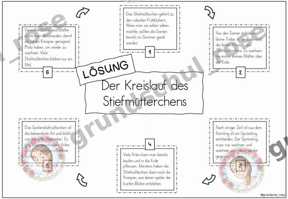 Materialvorschau, Seite 13