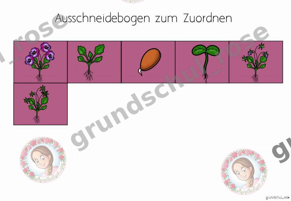 Materialvorschau, Seite 6