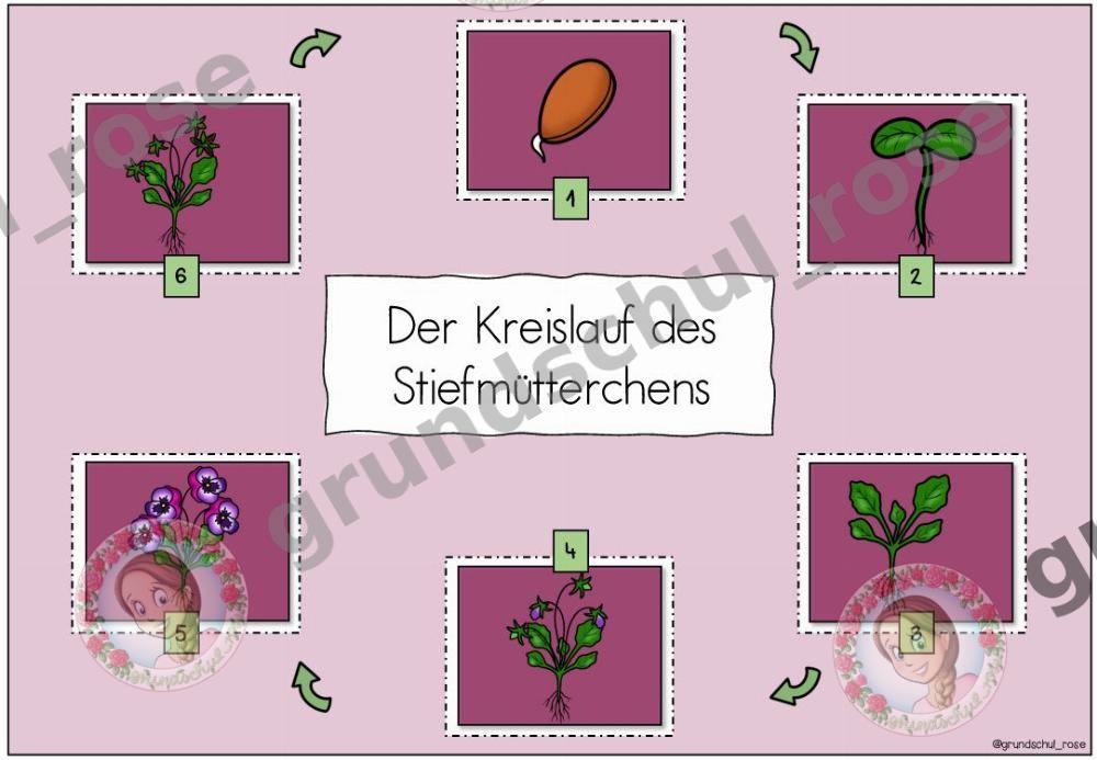Materialvorschau, Seite 7