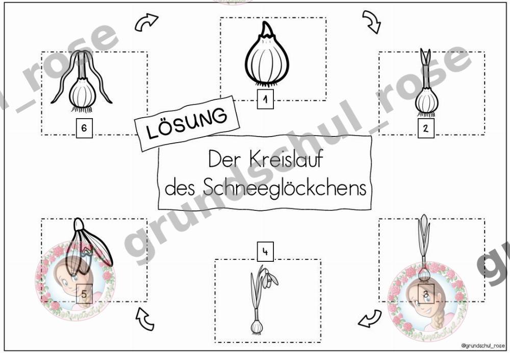 Materialvorschau, Seite 11