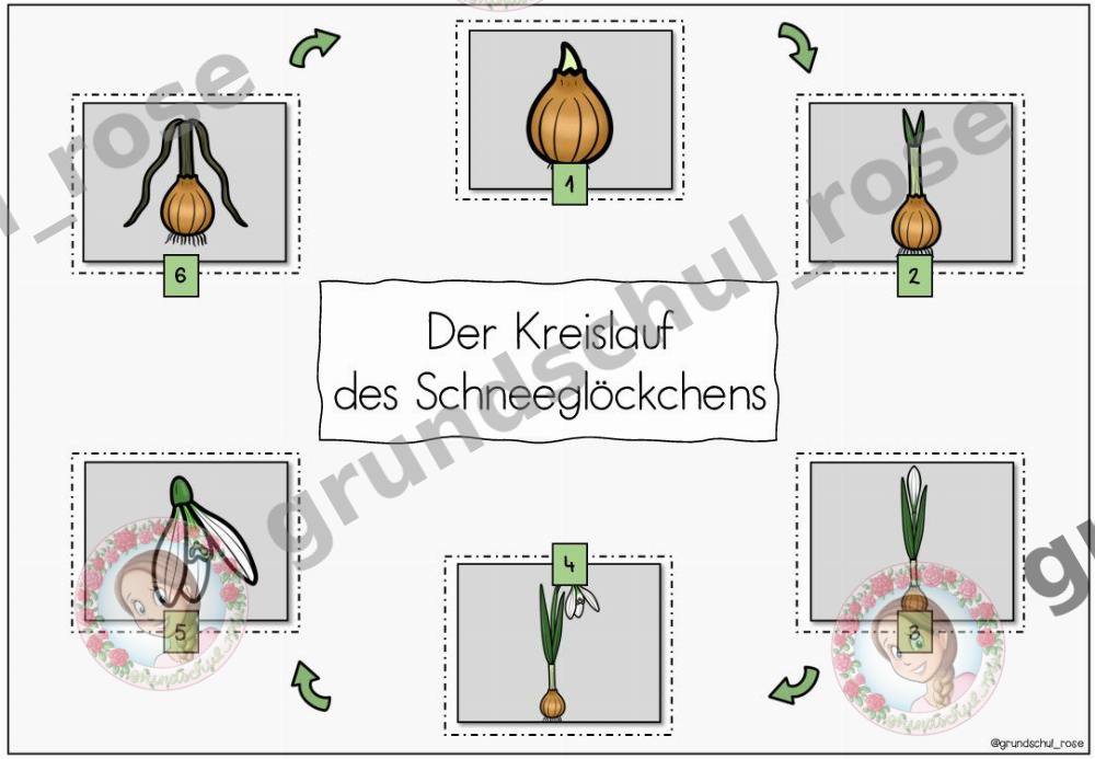 Materialvorschau, Seite 7