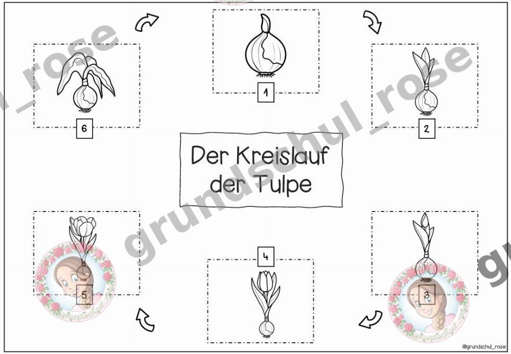 Materialvorschau, Seite 10