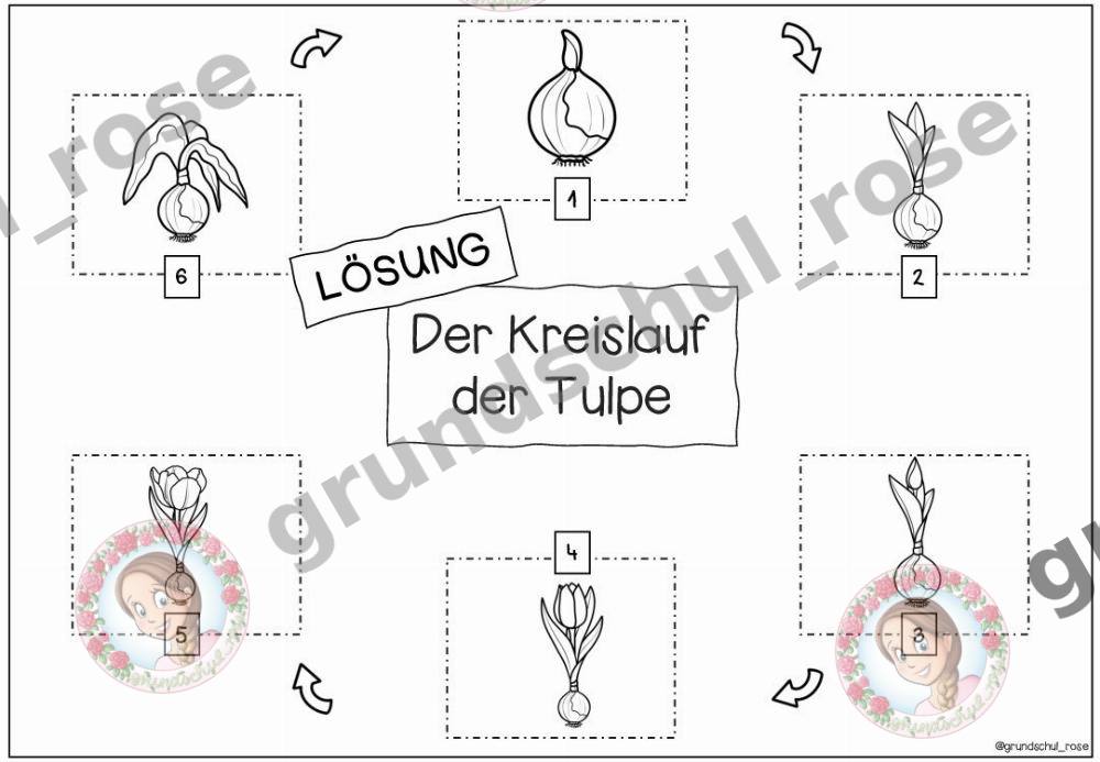 Materialvorschau, Seite 11