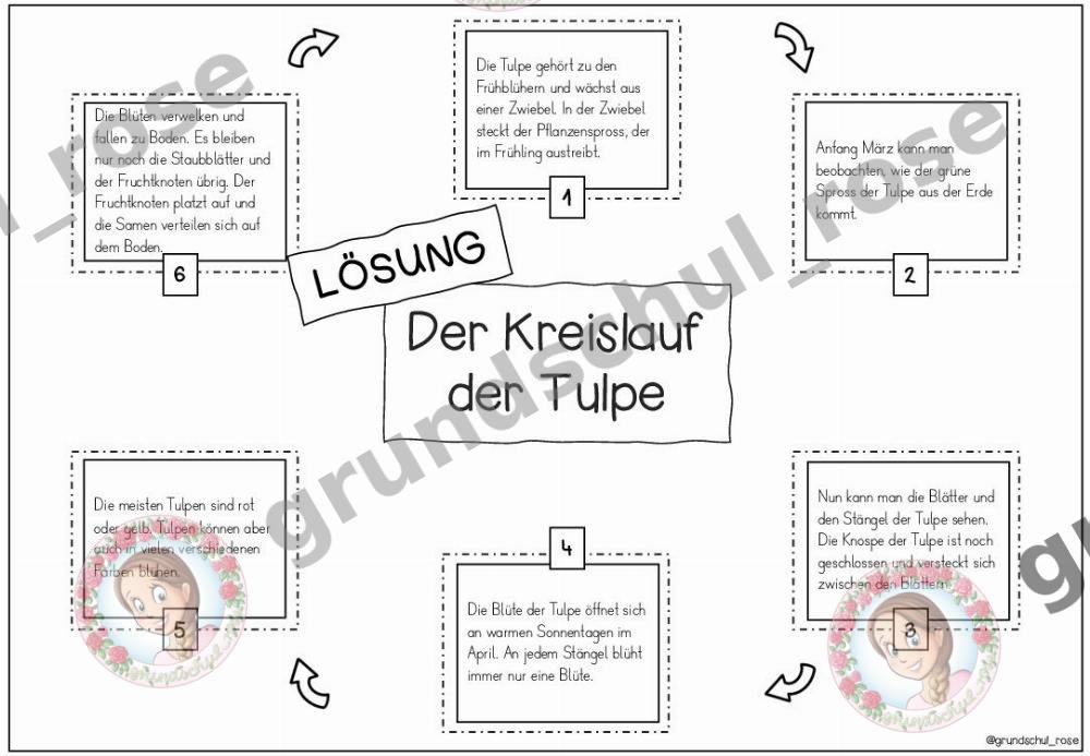 Materialvorschau, Seite 13