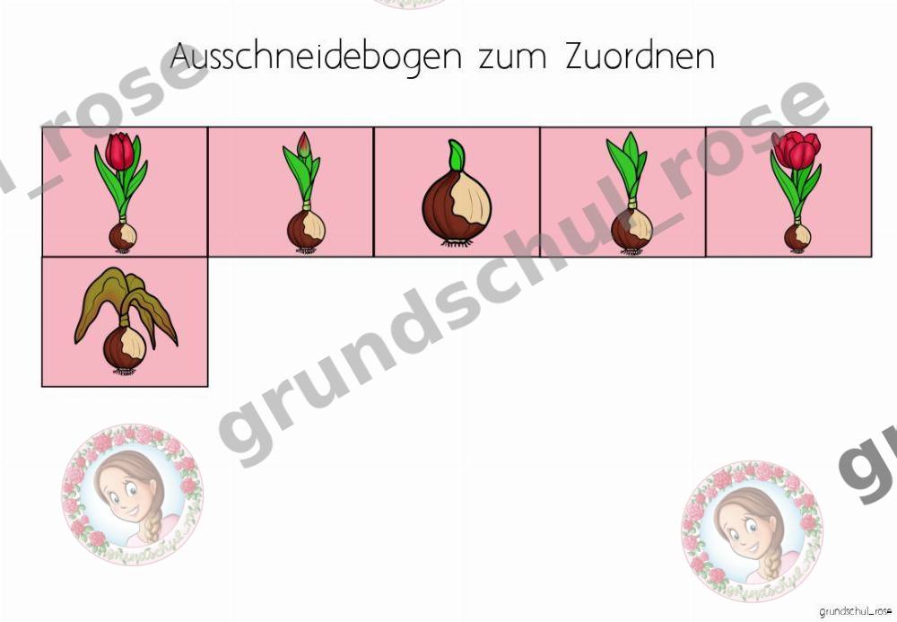 Materialvorschau, Seite 6