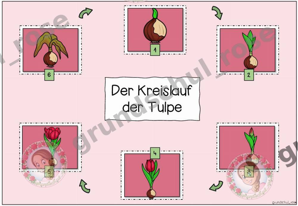 Materialvorschau, Seite 7