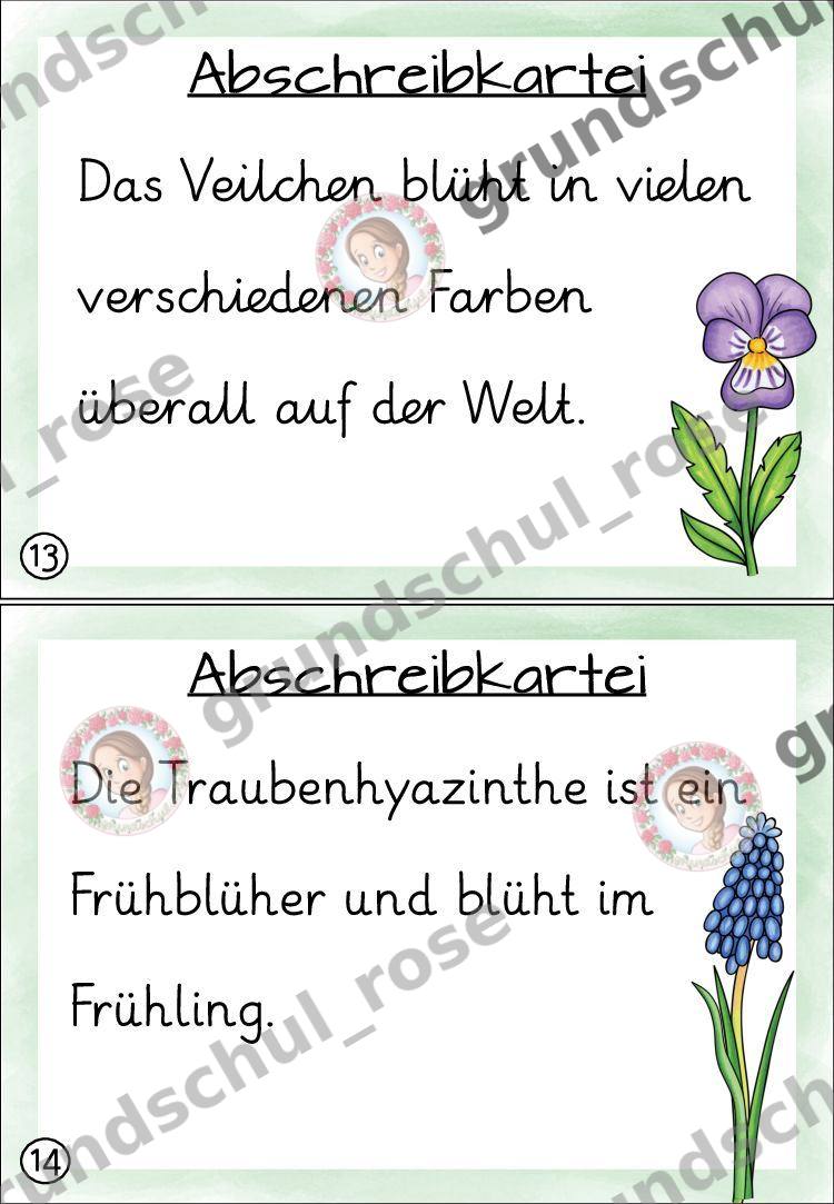 Materialvorschau, Seite 12