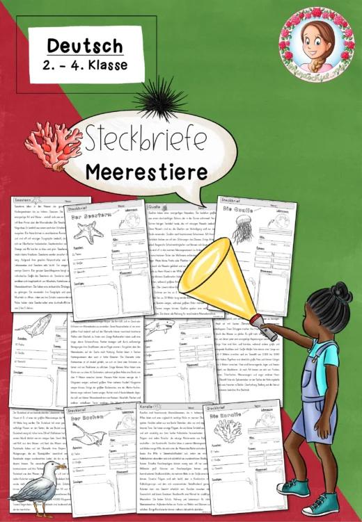 Steckbriefe Meerestiere (Klasse 2 bis 4) Sachunterricht