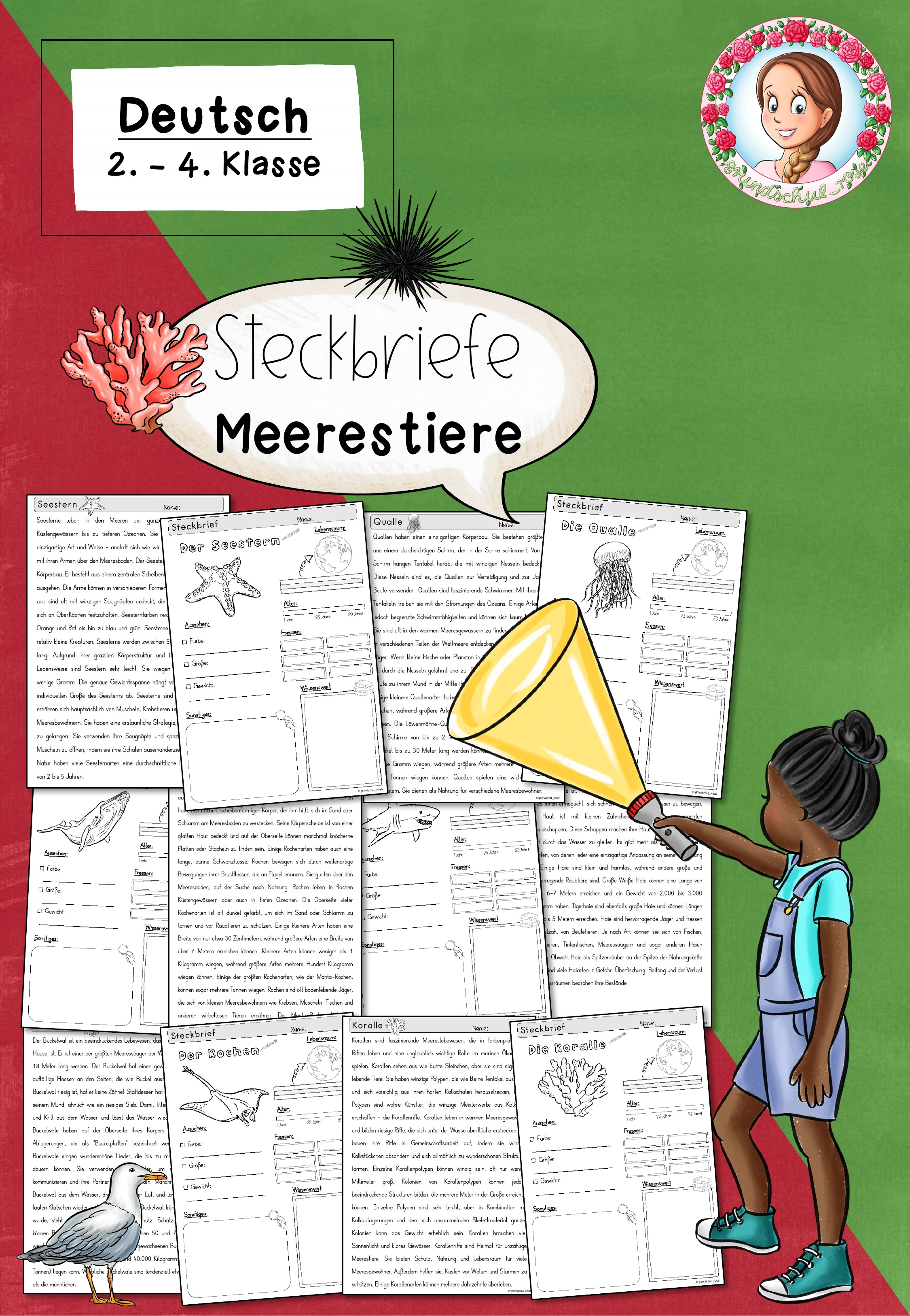 Meerestiere Grundschule | Steckbriefe Sachunterricht Klasse 2-4