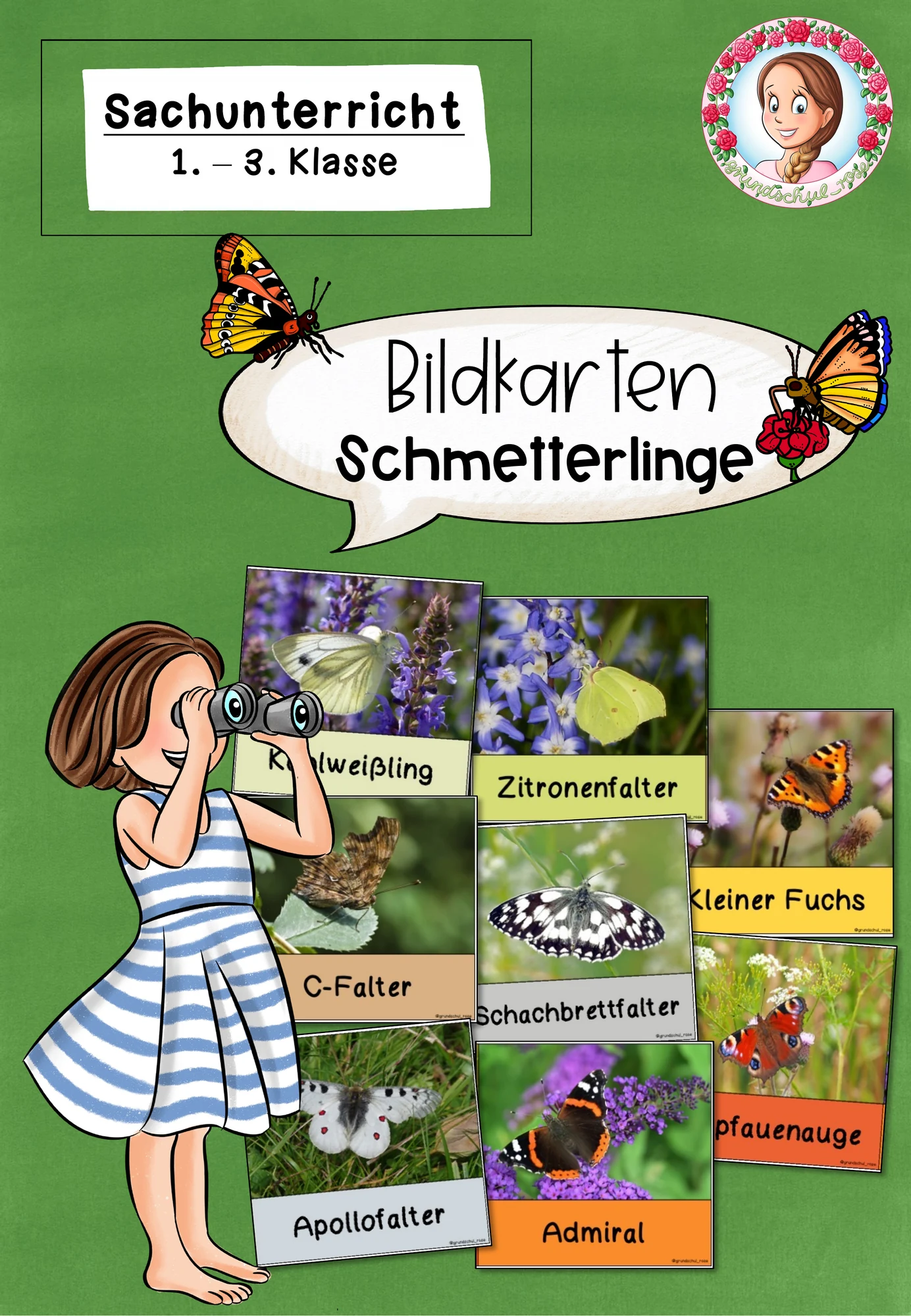 Schmetterling Bildkarten | Sachunterricht Klasse 1-3